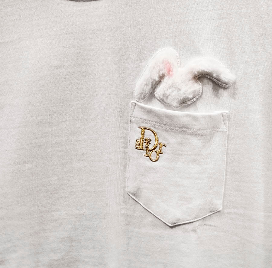 CAMISETA DIOR