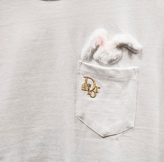 CAMISETA DIOR