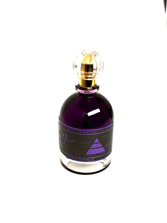 GEVILL FRANCE MILLIONAIRE