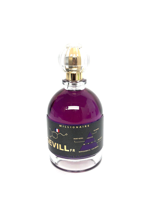 GEVILL FRANCE MILLIONAIRE